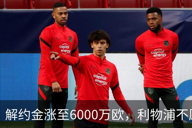 解约金涨至6000万欧，利物浦不愿冬窗5000万镑签奥托比