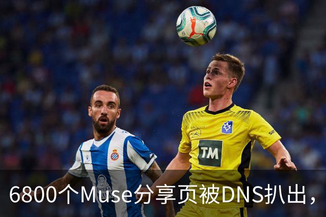 6800个Muse分享页被DNS扒出，Meta紧急暂停